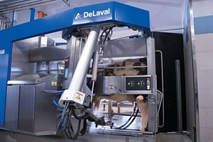 Робот-дояр DeLaval VMS V300